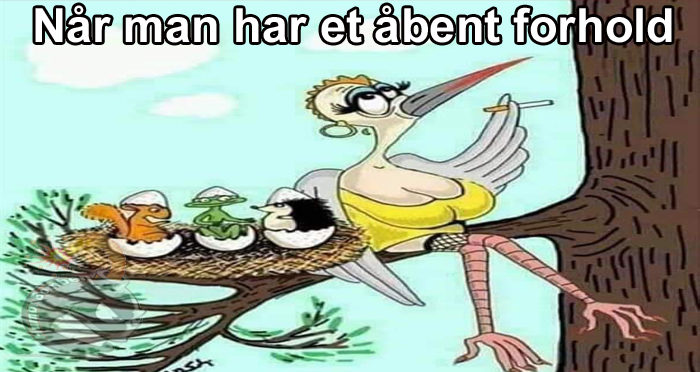 Når man har et åbent forhold