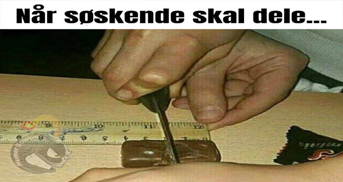 Søskende