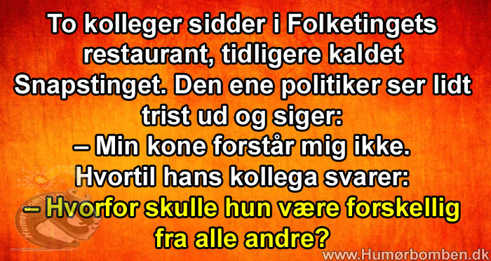 To kolleger sidder i Folketingets restaurant