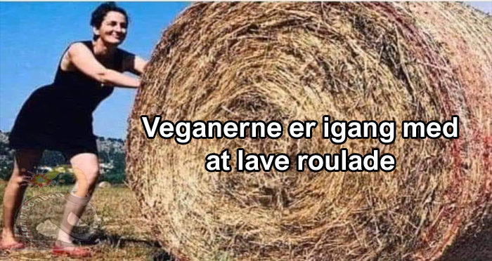 Veganerne er igang med at lave roulade
