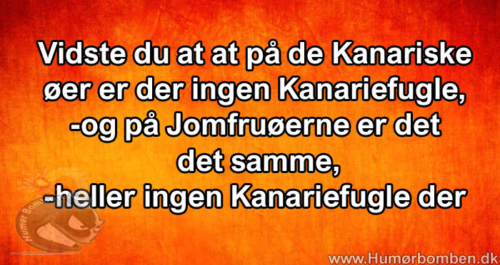 Vidste du at at på de Kanariske øer