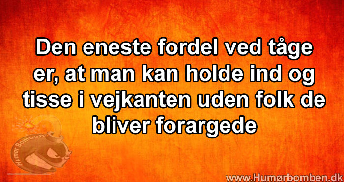 Den eneste fordel ved tåge