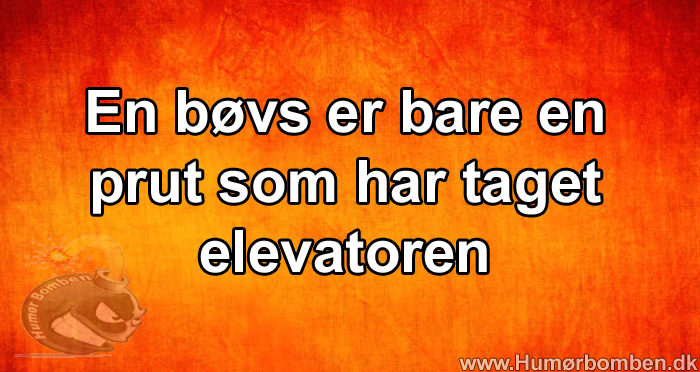 En bøvs er bare en prut som har taget elevatoren