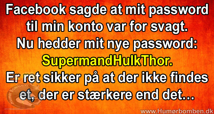 Facebook sagde at mit password