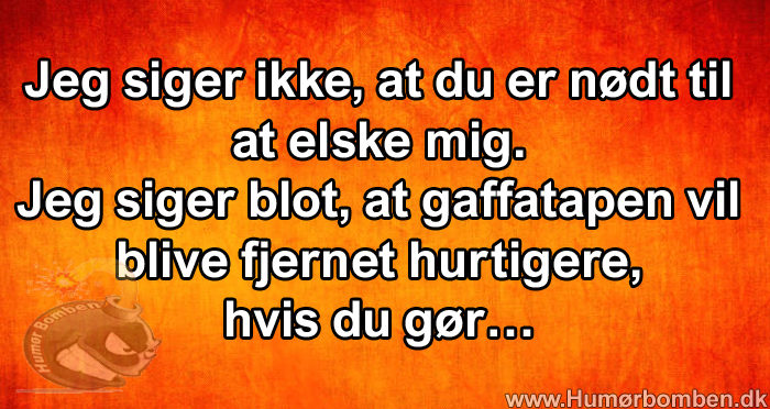 Jeg siger ikke, at du er nødt til at elske mig