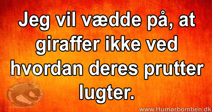 Jeg vil vædde på