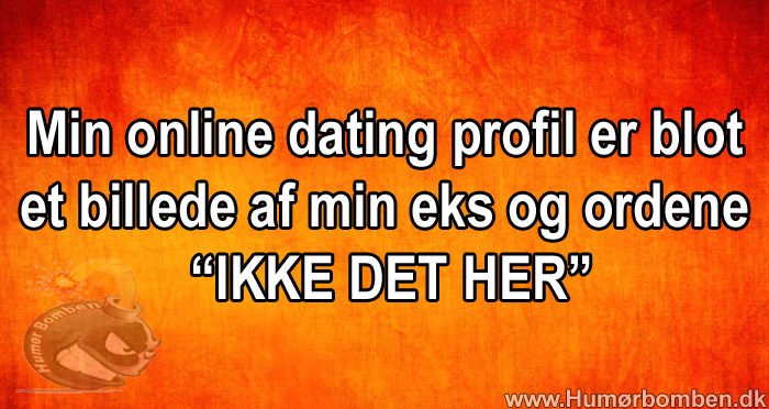 Min online dating profil