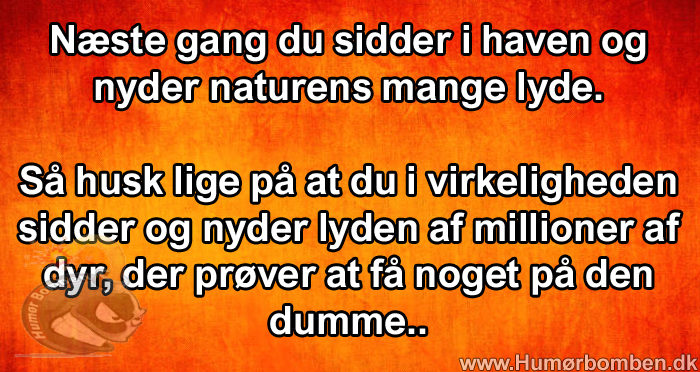 Næste gang du sidder i haven