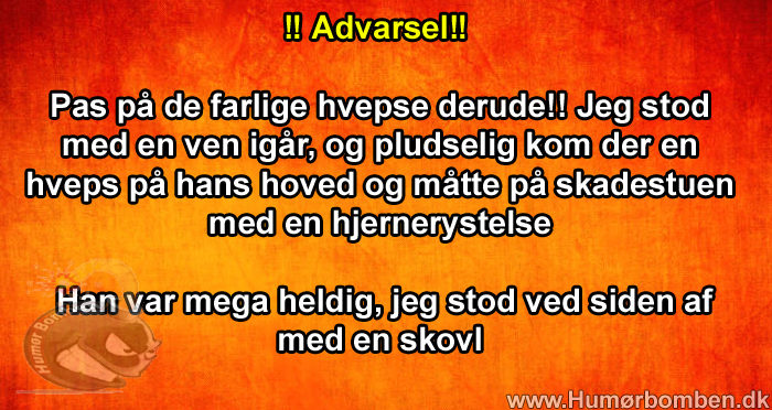 Pas på de farlige hvepse