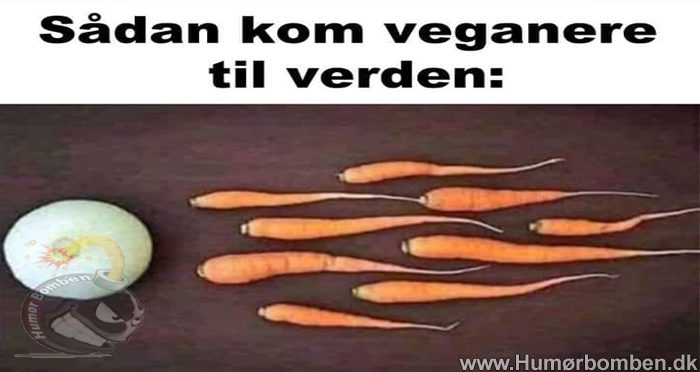 Sådan kom veganere til verden