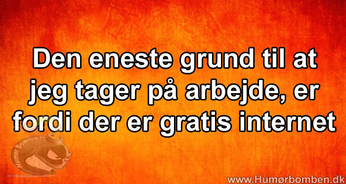 Den eneste grund