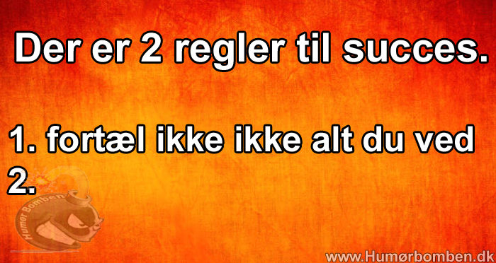 Der er 2 regler til succes