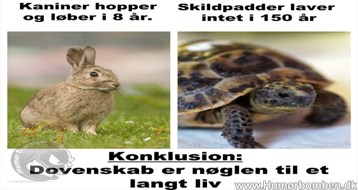 Døvenskab er nøglen til langt liv