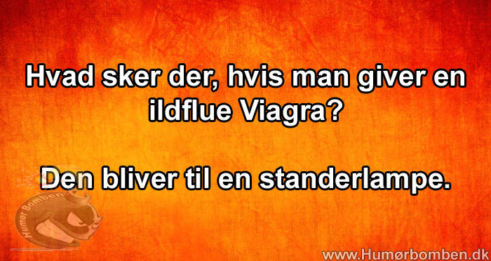 Hvad sker der, hvis man giver en ildflue