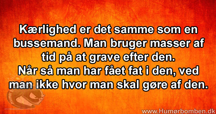 Kærlighed er det samme som en bussemand