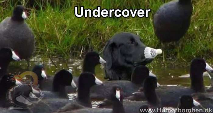 Undercover