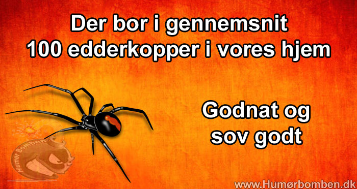 100 edderkopper i hjemmet