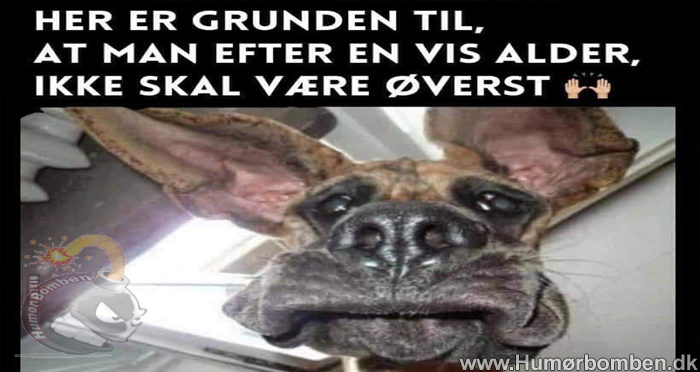 Her er grunden til