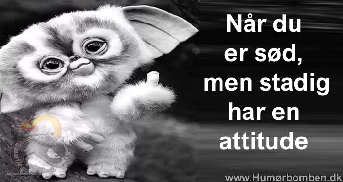 Når du er sød, men stadig har en attitude