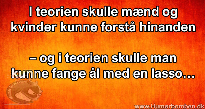 teorien skulle mænd og kvinder forstå hinanden