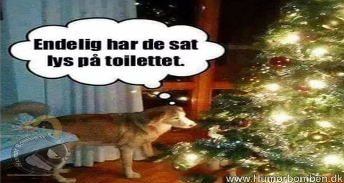 Endelig har de sat lys på toilettet