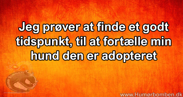 Jeg prøver at finde et godt tidspunkt