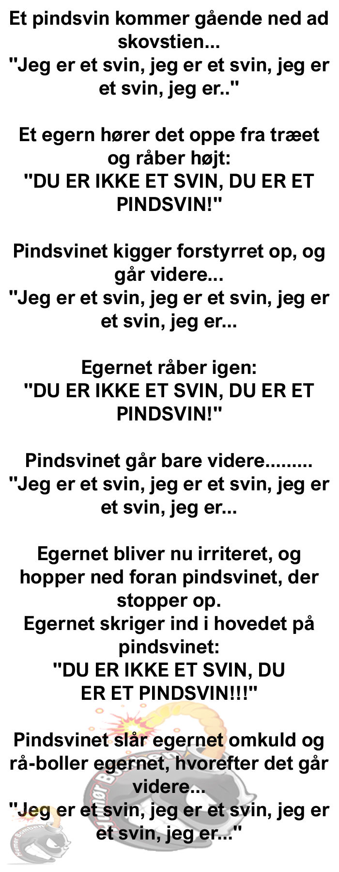 Et pindsvin kommer gående ned ad skovstien