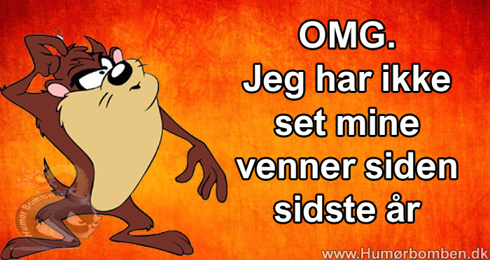 Jeg har ikke set mine venner siden sidste år