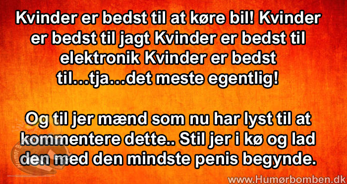 Kvinder er bedst til at køre bil