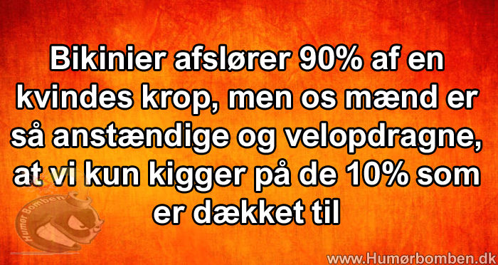 Mænd er så anstændige og velopdragne