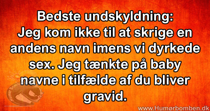 Bedste undskyldning