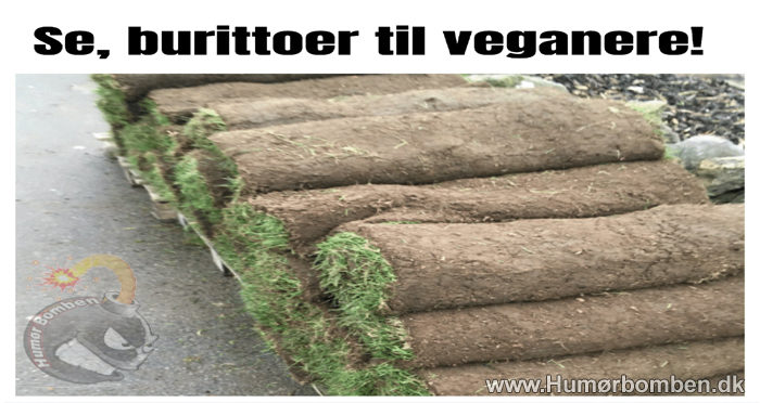 Burittoer til veganere