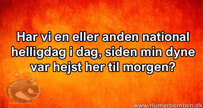 Har vi en eller anden national helligdag i dag