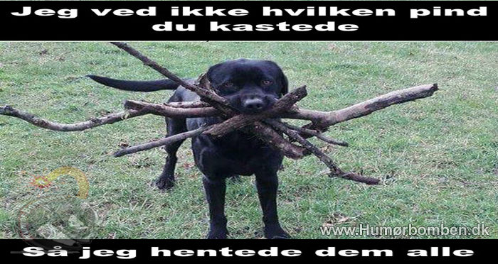 Jeg ved ikke hvilken pind du kastede