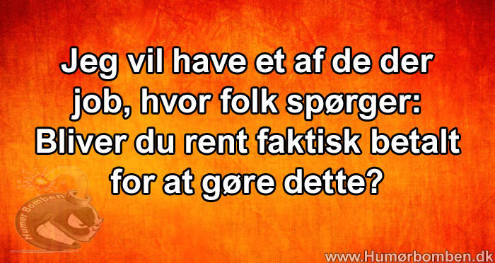 Jeg vil have et af de der job