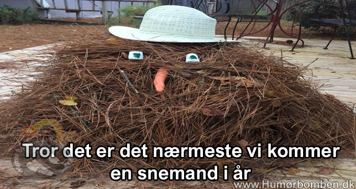 Tror det er det nærmeste vi kommer en snemand i år