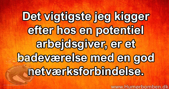 Det vigtigste jeg kigger efter