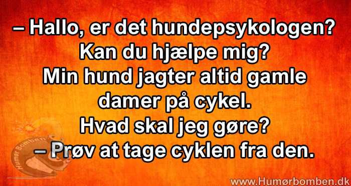 Er det hundepsykologen