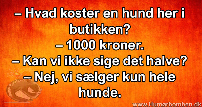 Hvad koster en hund her