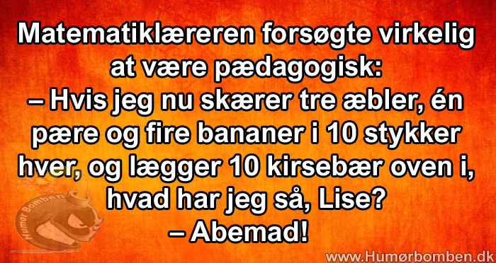 Matematiklæreren forsøgte virkelig at være pædagogisk