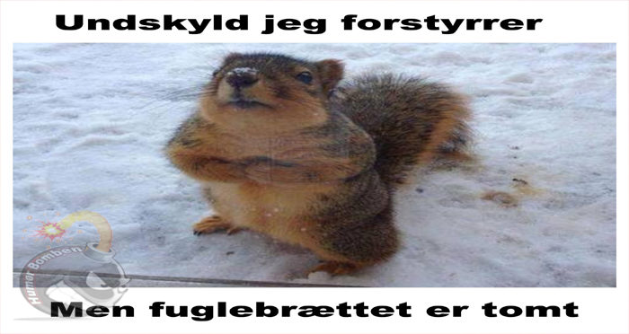 Undskyld jeg forstyrrer copy