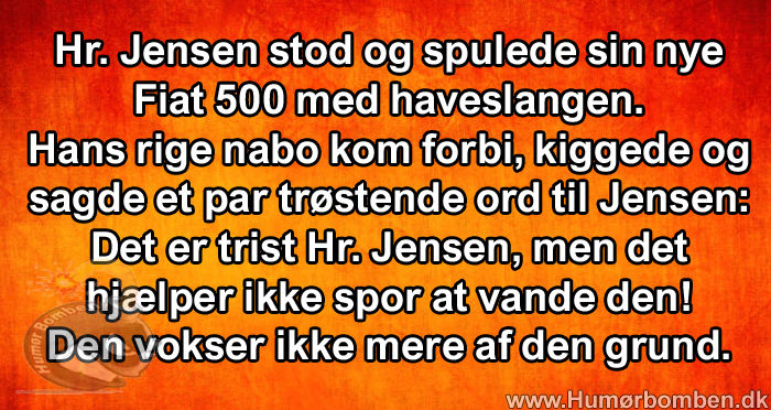 Hr. Jensen stod og spulede sin nye Fiat 500