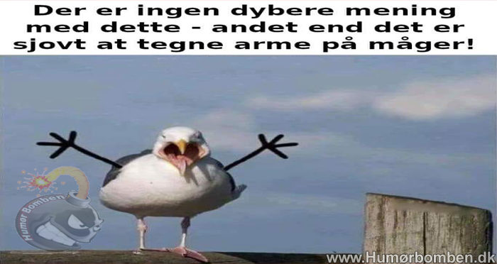 Ingen dybere mening