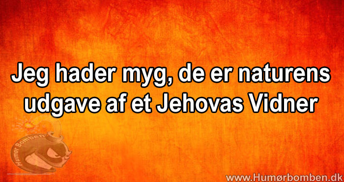 Jeg hader myg