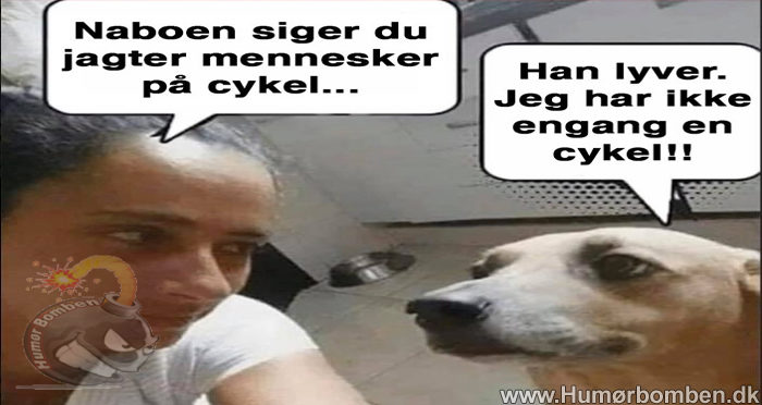 Naboen siger du jagter mennesker på cykel