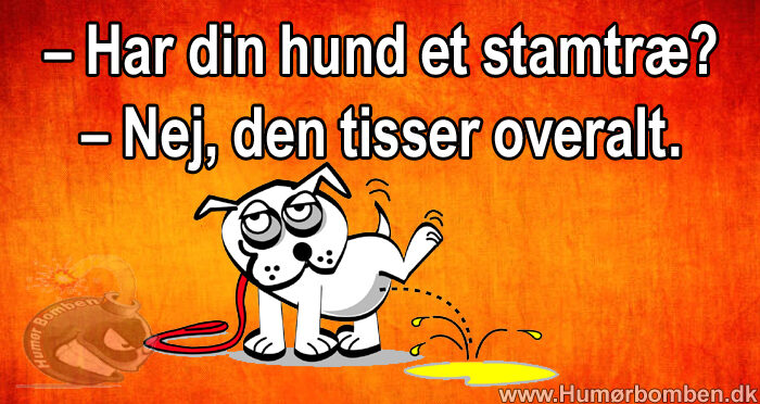 Har din hund et stamtræ