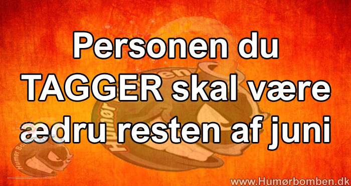 Personen du TAGGER skal være ædru resten af juni