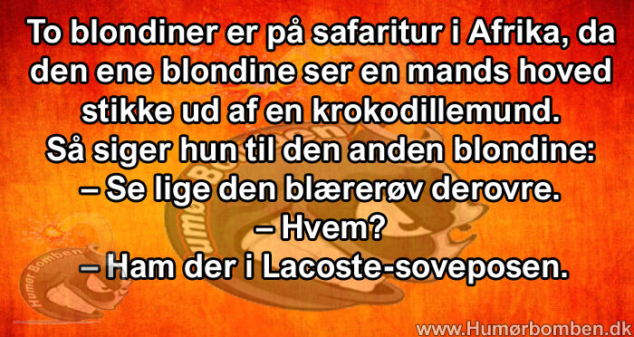 To blondiner er på safaritur i Afrika