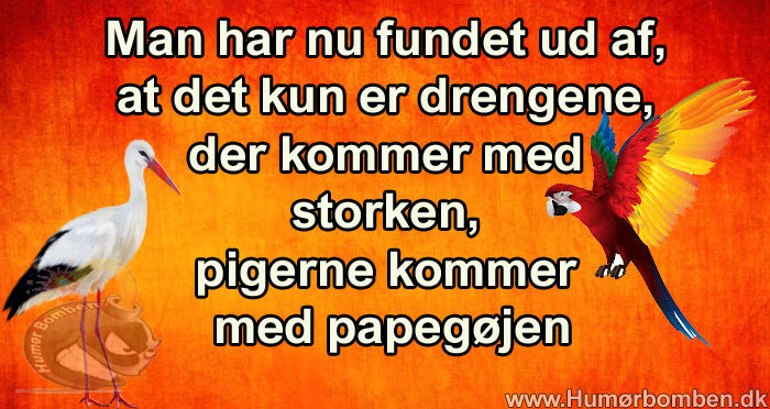 Man har nu fundet ud af
