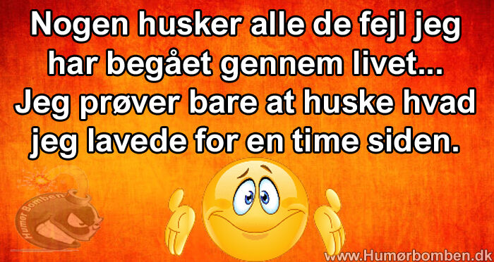 Nogen husker alle de fejl jeg har begået gennem livet